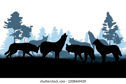 Pack of wolves in coniferous forest. Evening twilight. Silhouette picture. Wild animal in nature. Predator in natural conditions. Isolated on white background. Vector