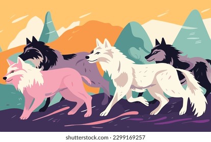 Pack of wolves on the hunt . Animals wildlife concept