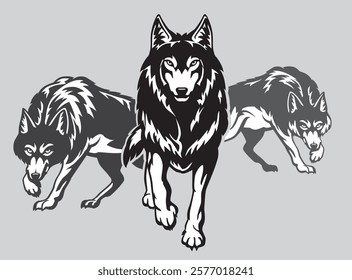 Pack of Wolves, vector illustration