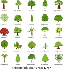 Paquete de Iconos planos de árboles de madera 