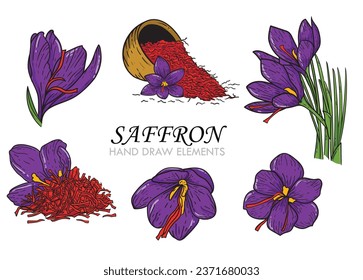 Package of crocus or saffron flowers with pistils. Botanical flowers. Isolated illustration element. Hand drawn vector flowers in colored line art style, texture, packaging, ornament design, Card.