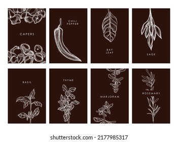 Diseño de paquetes para la colección de especias