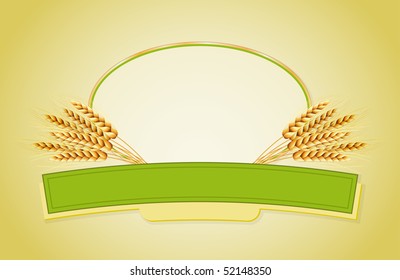 Package design. Wheat flour or Pasta, macaroni, spaghetti. Vector illustration of ears of wheat and label.