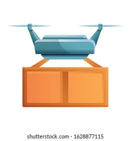 Package drone delivery icon. Cartoon of package drone delivery vector icon for web design isolated on white background