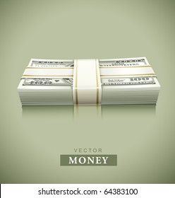 packaged bundle of money dollars vector illustration