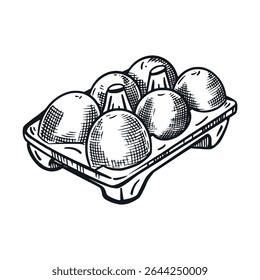 Packaging of chicken eggs, cell with eggs. All objects are hand-drawn in vector, Vector illustration is suitable for printing on packaging of goods, food, decoration of farm shops.