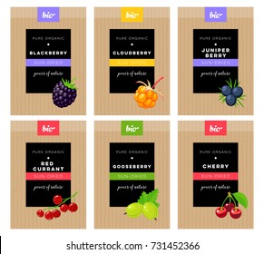 Packaging design. Concept label for natural sun-dried berries marketing . Blackberry, cloudberry, juniper, red currant, gooseberry, cherry. Vector flat template.