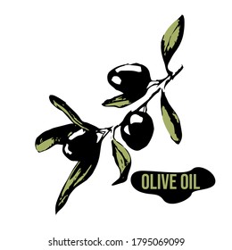 Diseño de embalajes con contenido de aceite de oliva con el texto "aceite de oliva" y una rama con aceitunas a su lado.