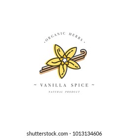 Packaging design template and emblem - herb and spice - vanilla flower and pods. Logo in trendy linear style