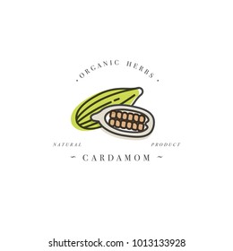 Packaging design template logo and emblem - herb and spice - cardamom. Logo in trendy linear style