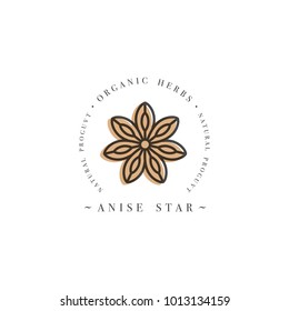 Packaging design template logo and emblem - herb and spice - anise star. Logo in trendy linear style