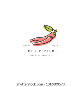 Packaging design template logo and emblem - herb and spice - red chili pepper. Logo in trendy linear style