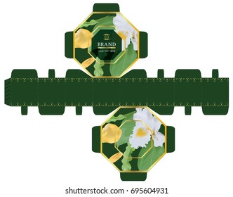 Packaging design, tropical concept, luxury 8-sided box design template. Illustration vector