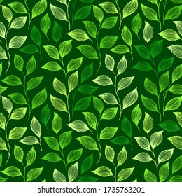 Packaging tea leaves pattern seamless vector. Minimal tea plant bush leaves floral textile design. Herbal sketchy seamless background pattern with nature elements. Organic summer foliage wallpaper.