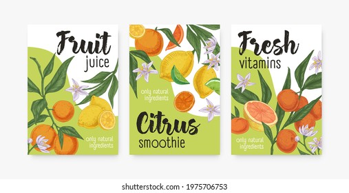 Packaging templates with tropical citrus fruits. Set of lemon, orange, mandarin, tangerine and grapefruit backgrounds or vertical banners. Colored realistic vector illustration of packing design.