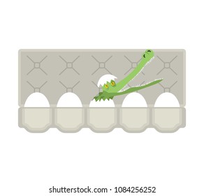 Packing eggs hatched crocodile isolated. Vector illustration
