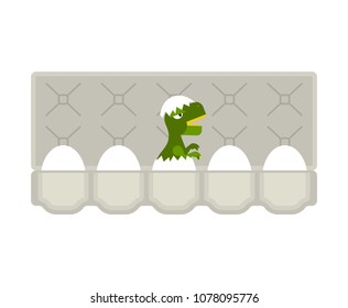 Packing eggs hatched dragon isolated. Vector illustration