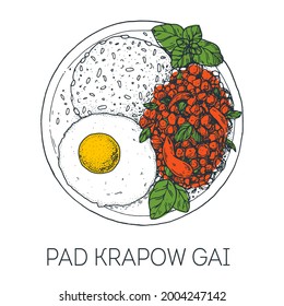 Pad krapow gai, Thai basil and fried egg. Thai food. Hand drawn vector illustration. Sketch style. Top view. Vintage vector illustration.