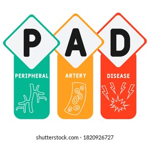 PAD - Peripheral Artery Disease acronym, medical concept background. vector illustration concept with keywords and icons. lettering illustration with icons for web banner, flyer, landing page