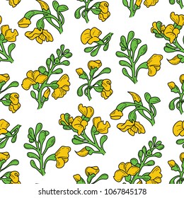 Padauk Flower (Pterocarpus macrocarpus). The National Flower of Myanmar. Seamless hand drawn tropical pattern. Vector doodle  illustration.