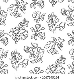 Padauk Flower (Pterocarpus macrocarpus). The National Flower of Myanmar. Seamless hand drawn tropical pattern. Vector doodle  illustration.