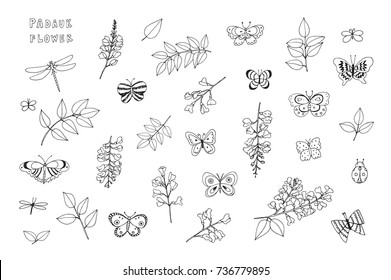 Padauk national flower of Myanmar with butterflies cartoon doodle vector illustrations set