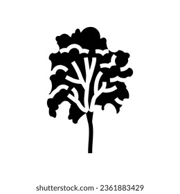 padauk tree jungle amazon glyph icon vector. padauk tree jungle amazon sign. isolated symbol illustration