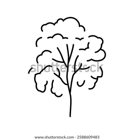 padauk tree jungle amazon line icon vector. padauk tree jungle amazon sign. isolated contour symbol black illustration
