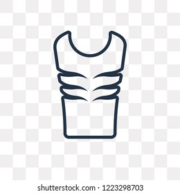 Padded Vest vector outline icon isolated on transparent background, high quality linear Padded Vest transparency concept can be used web and mobile