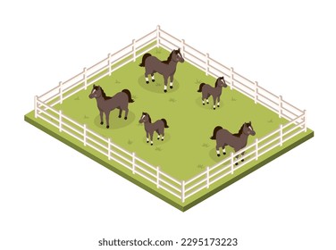 Paddock con caballos. Ganado en la granja o pueblo. Animales adultos y bebés sobre césped detrás de la valla blanca. Agricultura, agricultura y ganadería. Ilustración vectorial isométrica de dibujos animados