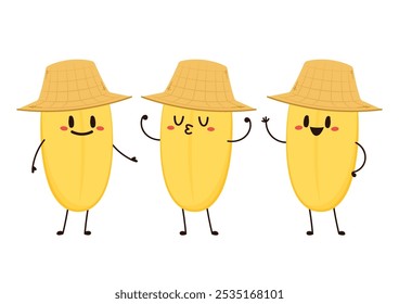 Paddy character design. rice vector on white background. rice seed.