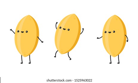 Paddy character. Rice character design. rice vector on white background. rice seed.