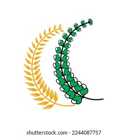 Paddy and cotton design vector illustration for logo