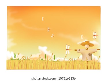 Paddy Field Dragonfly
