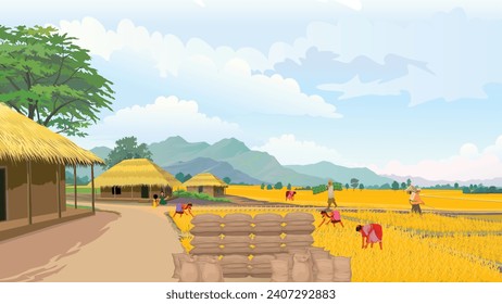 Paddy Field,  Nature scene of rural land agriculture, Farmers working at Rice field