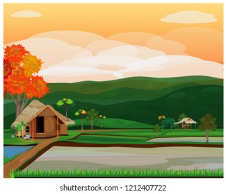 paddy field vector design