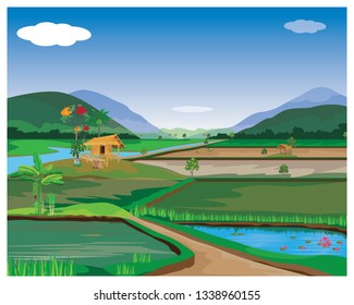 paddy field vector design