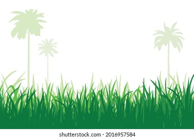 Paddy o Grass con palmeras