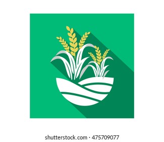 Paddy Nature Field Icon