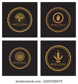 Paddy plant logo,rice grain logo,rice,natural organic farming,for business,company,agriculture,product,farm shop,agricultural equipment,rice warehouse, modern minimalist concept abstract simple vector