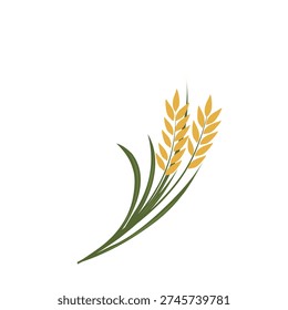 paddy plant vector illustration. Flat design. Yellow paddy with green leaves. Agricultural field. Paddy growing in the field. Paddy symbol. Cartoon style illustration
