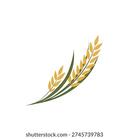 paddy plant vector illustration. Flat design. Yellow paddy with green leaves. Agricultural field. Paddy growing in the field. Paddy symbol. Cartoon style illustration