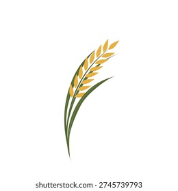 paddy plant vector illustration. Flat design. Yellow paddy with green leaves. Agricultural field. Paddy growing in the field. Paddy symbol. Cartoon style illustration