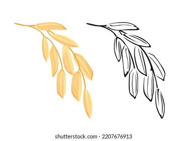 Paddy Rice ear. Vector color illustration and outline of agricultural plant. Healthy food icon.