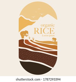 Paddy Rice Premium Organic Natural Product Banner Logo Vector Design