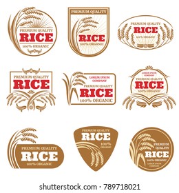 Paddy rice vector labels. Organic natural product emblems. Rice label and emblem, organic farm product illustration