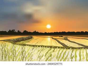 Paddy-Samenlandschaft, Vektorgrafik mit Sonnenschein