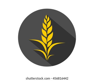 paddy wheat barley black circle plant harvest agriculture image vector