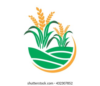 Paddy Wheat Icon Agricultural Agriculture Harvest Farming Image Vector