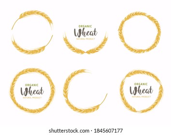 Paddy Wheat organic grain products food banner sign vector design.